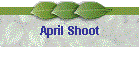 April Shoot