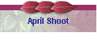 April Shoot