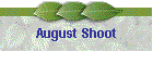 August Shoot