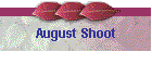 August Shoot