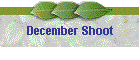 December Shoot