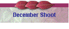 December Shoot