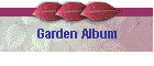 Garden Album