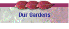 Our Gardens