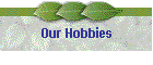 Our Hobbies
