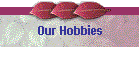 Our Hobbies
