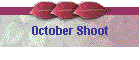October Shoot