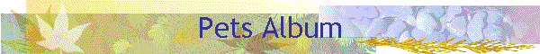 Pets Album