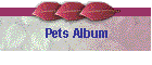 Pets Album
