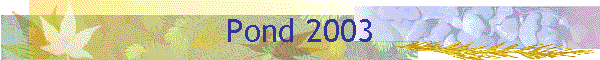 Pond 2003