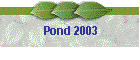 Pond 2003