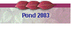 Pond 2003