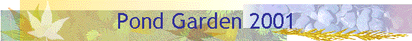 Pond Garden 2001