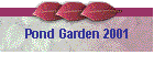 Pond Garden 2001