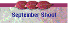 September Shoot
