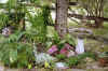 pbirdbath4_spr02.JPG (22108 bytes)