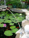 fishing2lilfish.jpg (54729 bytes)