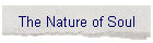 The Nature of Soul