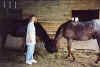 linda_lucky_dusty_sm.jpg (67909 bytes)