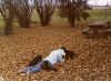 linda_pups_on_fallenleaves_sm.jpg (68456 bytes)