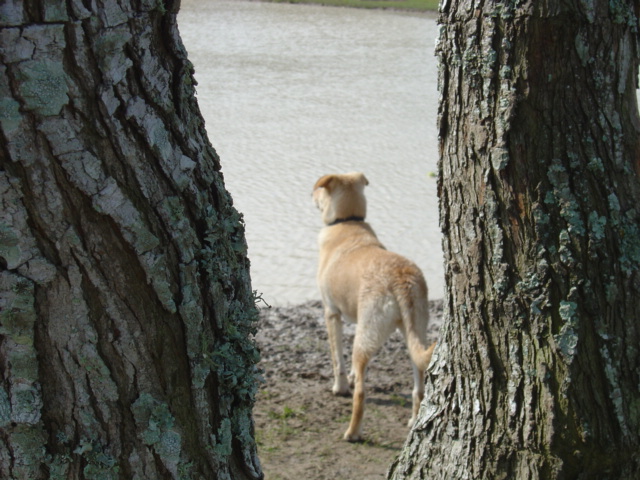 looking out over the water...