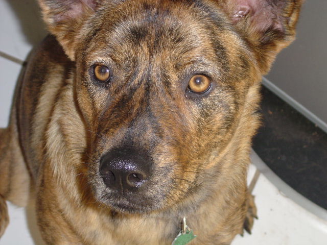 dharma sittin' pretty