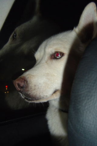 very contemplative in the car