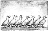 /user/ducksRow.gif
