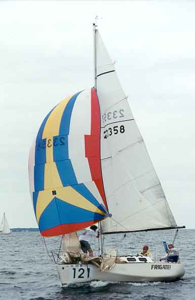 View page