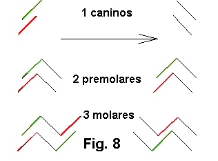 Desplazamiento a la derecha