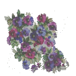 pansies