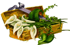 box