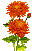 tf6