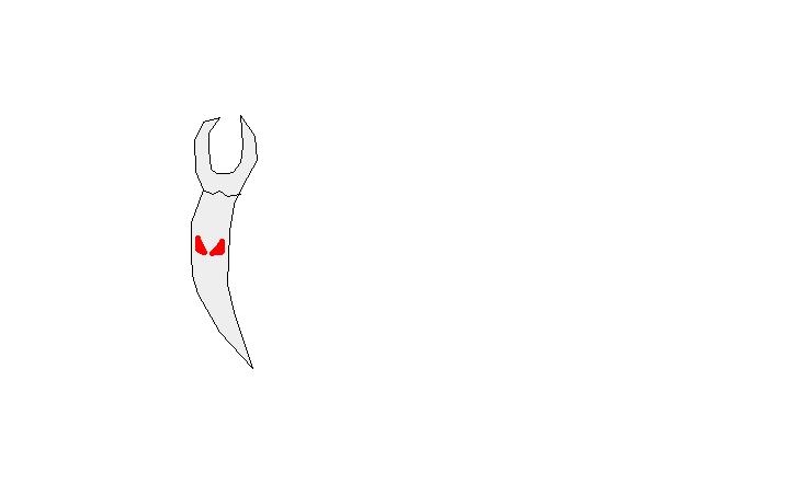 Cuspid