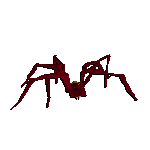 Deadly Red Spider