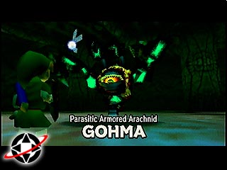 Link is about to fight Gohma