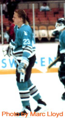 Link Gaetz, Sharks