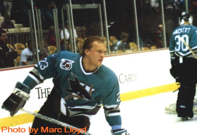 Link Gaetz, Sharks