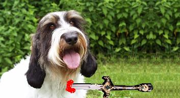 I've been stabbed! Hey I smell turkey.