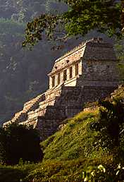 Mayans
