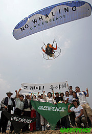 GREENPEACE