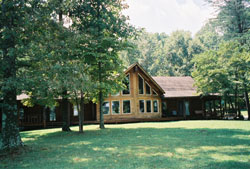 pic1