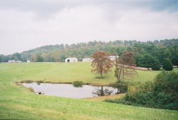 pic2