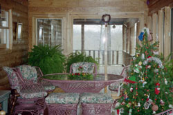 pic3