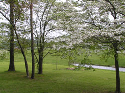 pic3