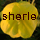 sherle