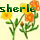 sherle