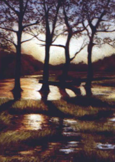 Evening Sun