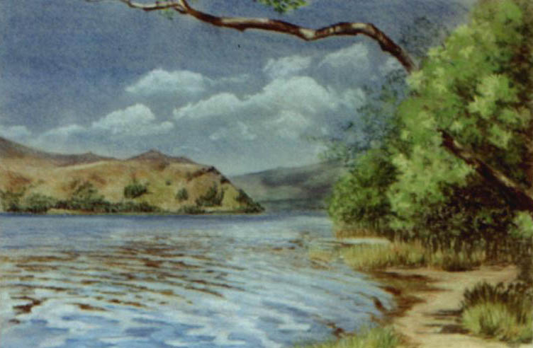 Grassmere 1