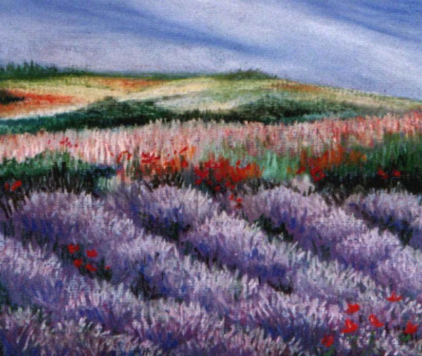 Lavenda Fields